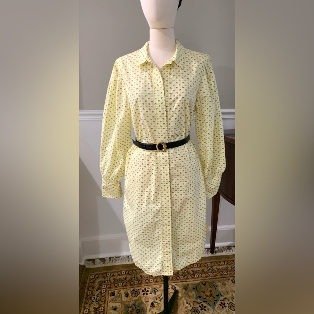 Ganni shirt dress with slight puff sleeves